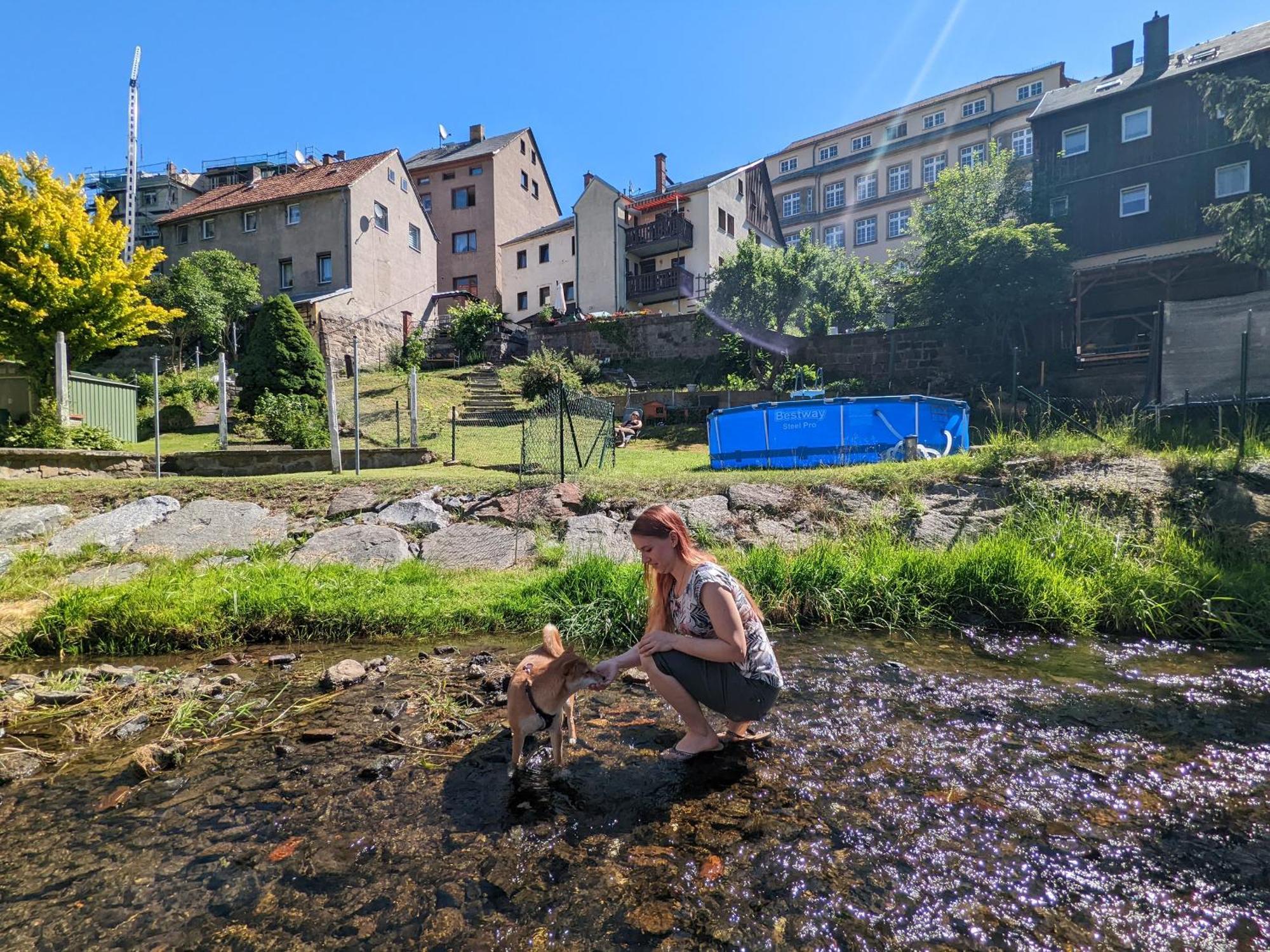 Hw1 - Urlaubsmagie - Sauna&Whirlpool Zum Entspannen Sebnitz Bagian luar foto