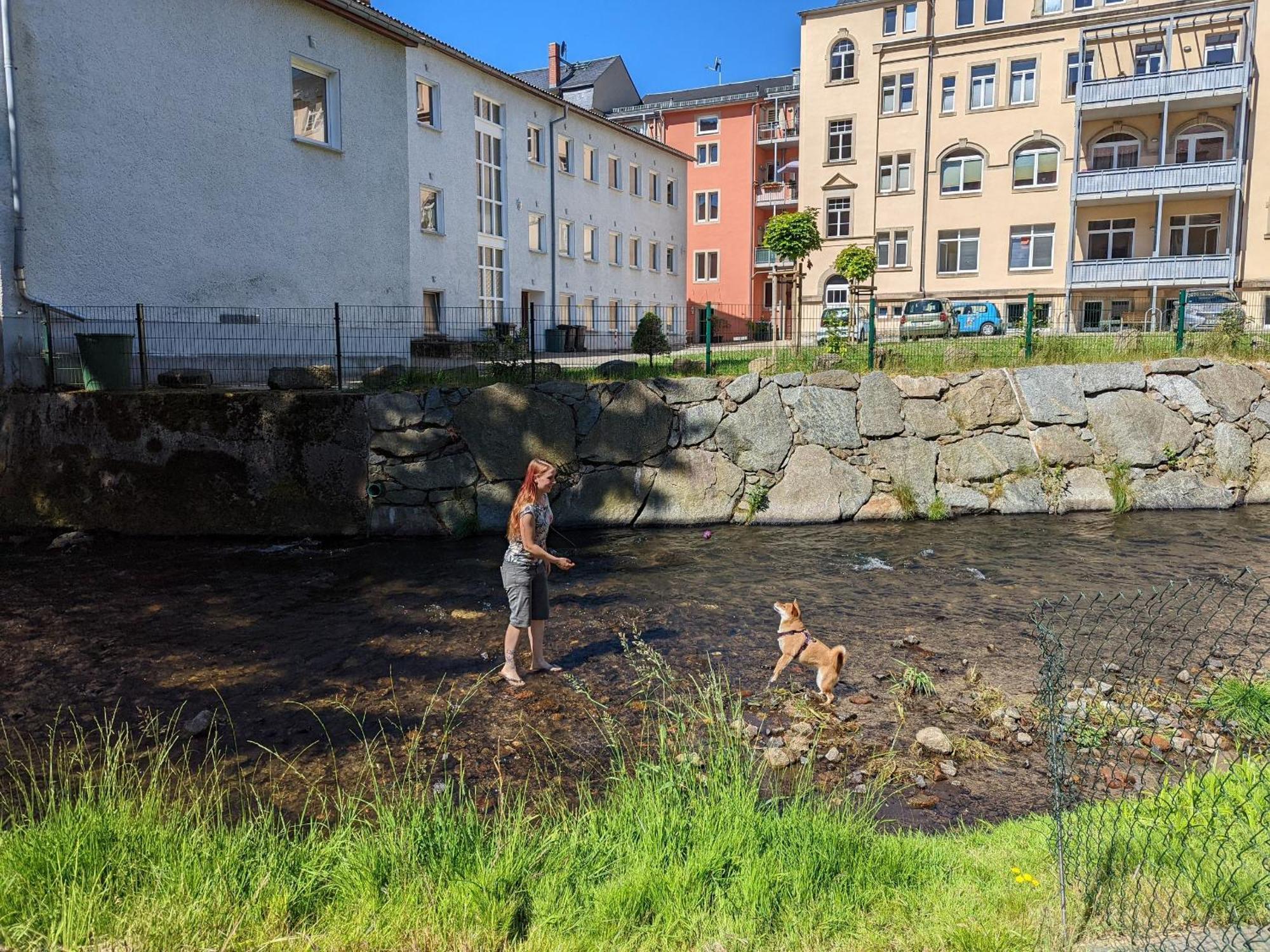 Hw1 - Urlaubsmagie - Sauna&Whirlpool Zum Entspannen Sebnitz Bagian luar foto