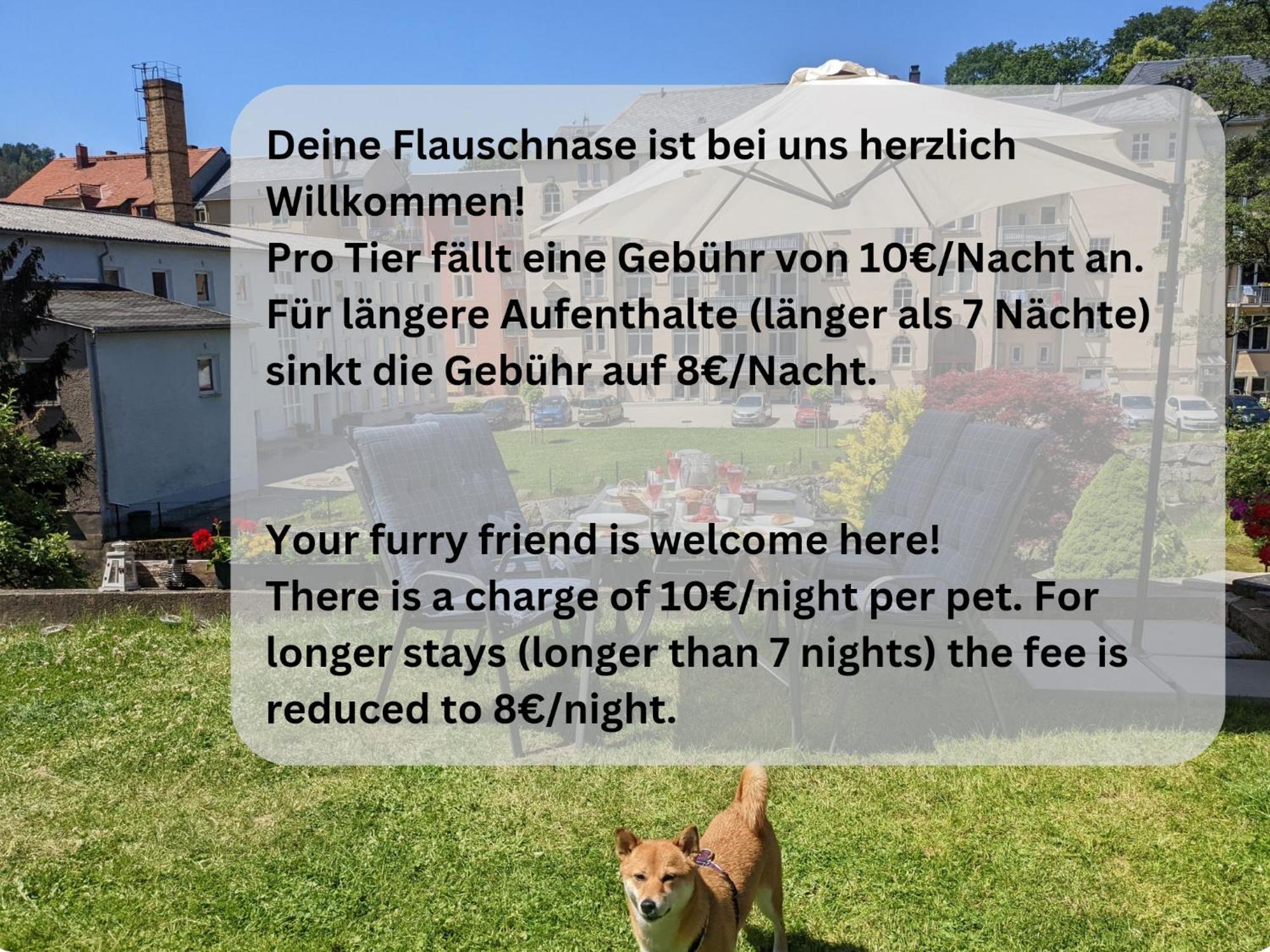 Hw1 - Urlaubsmagie - Sauna&Whirlpool Zum Entspannen Sebnitz Bagian luar foto